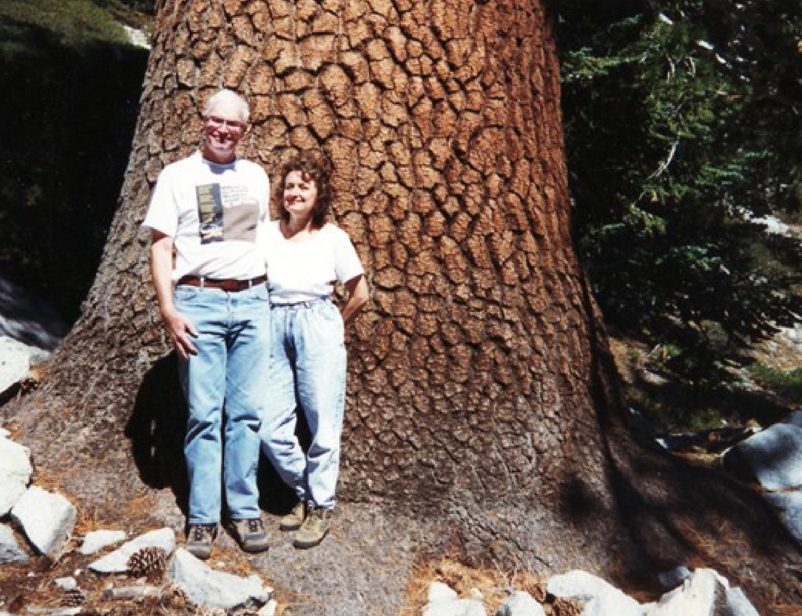 Rod Haulenbeek standing next to a Western White Pine