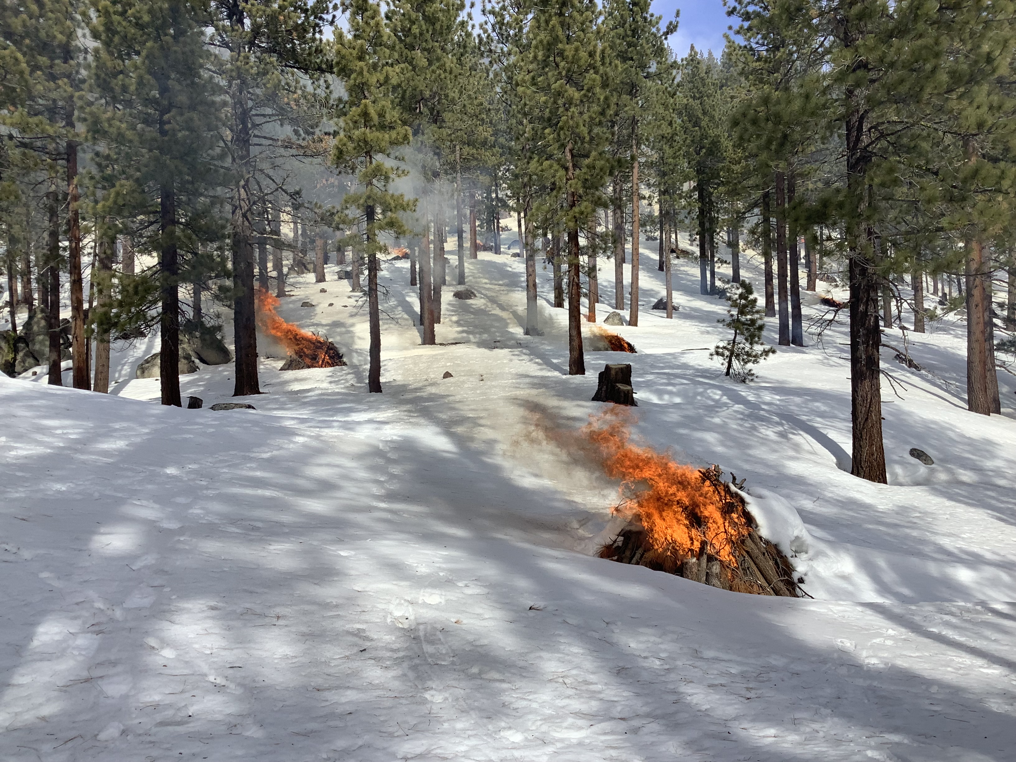Pile burning at Lake Tahoe Nevada State Park. Three actively burning piles visible, surrounded by snow
