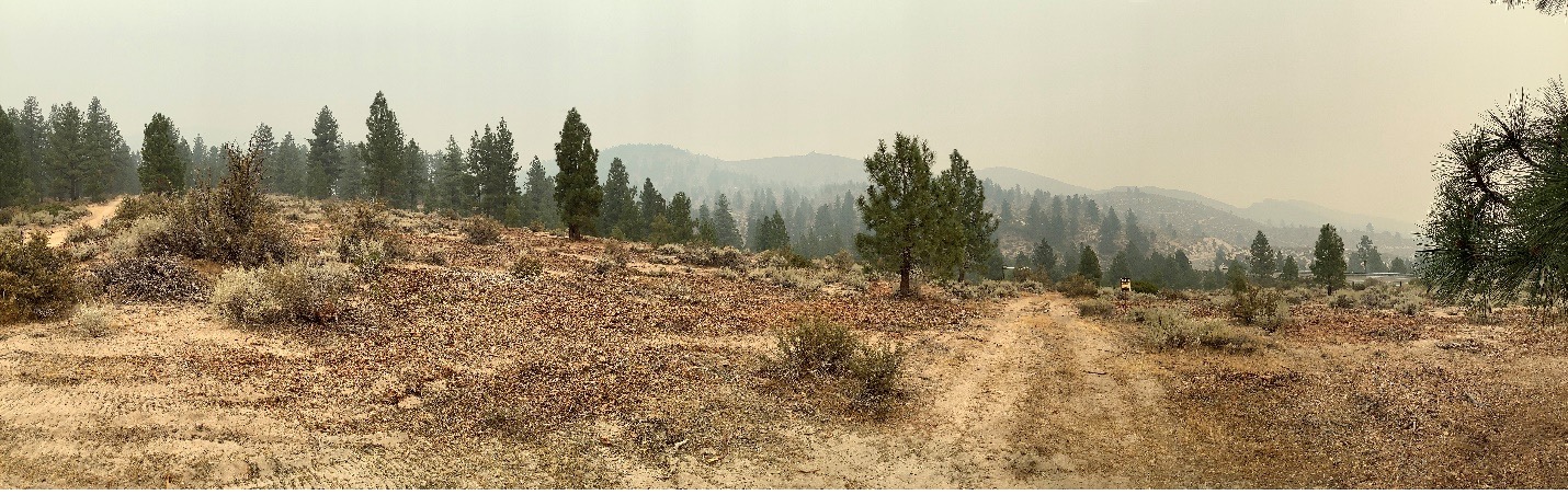 Photo of the Clear Creek project post-treatment.