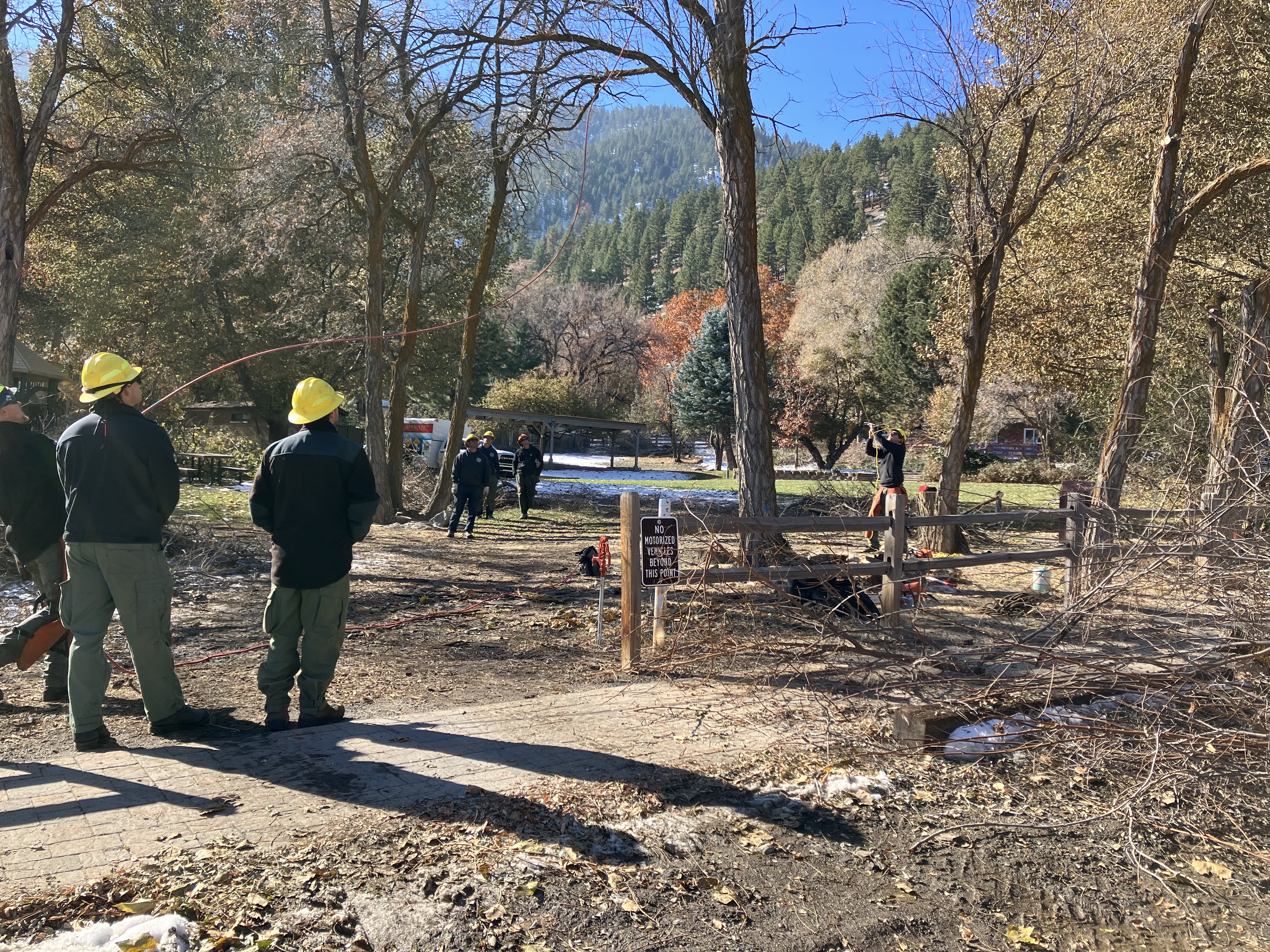 Fire fighters from the Nevada Division of Forestry help out during a community clean up day at the Genoa Town Park. Two of them are actively cutting branches with a rope chain saw, while two more serve as spotters