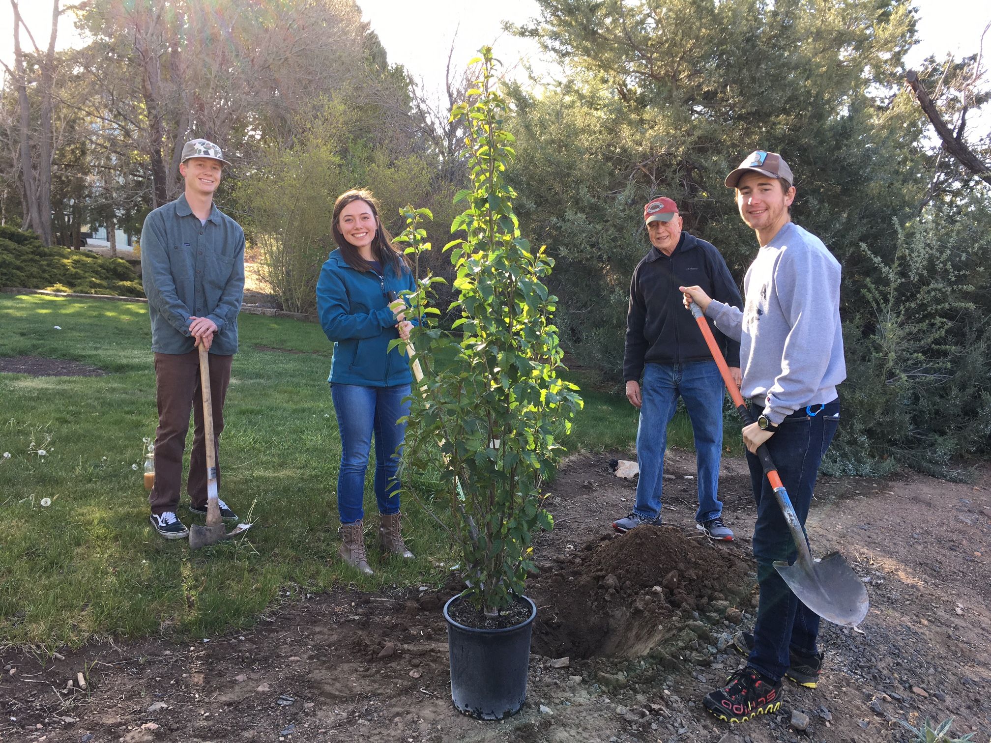 Four volunteers planting a tree during an Arbor Day event. Three of them are holding shovels, while posing around a tree about to be planted. 