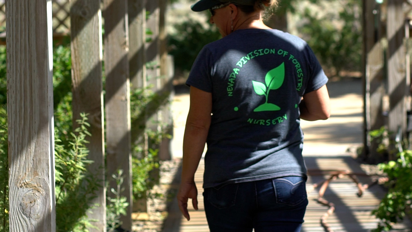 Photo of a Washoe Nursery staff member walking in the greenhouse.