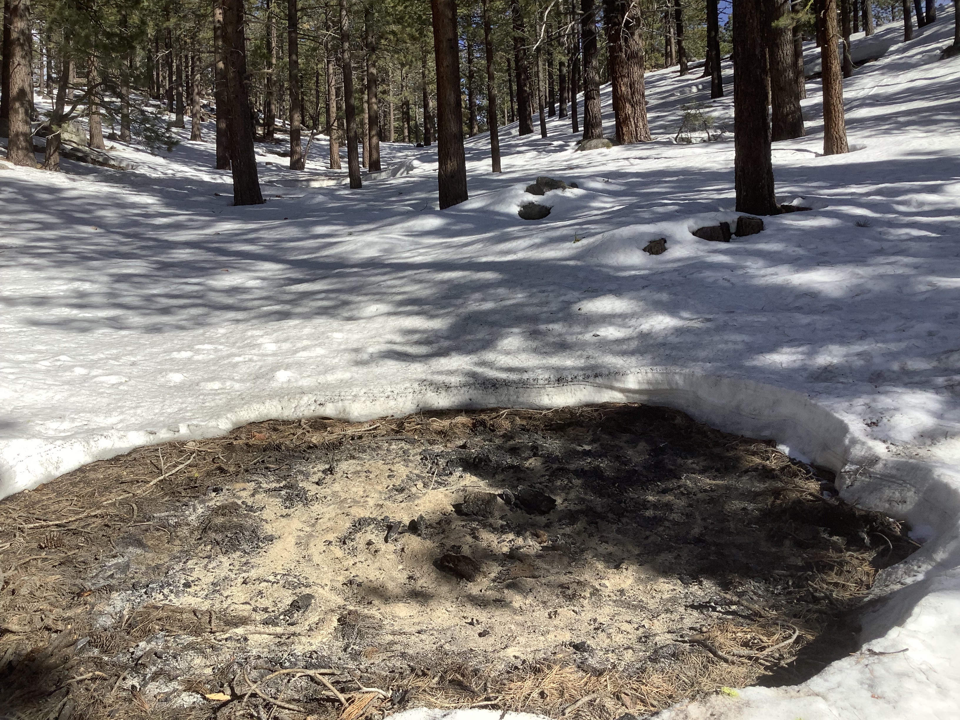 After a pile is burn, there should be no evidence of logs or flammable vegetative materials, as shown in this image. 